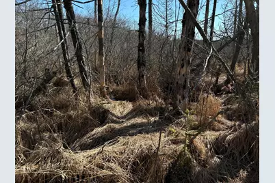 365 Cushing Road, Cushing, ME 04563 - Photo 20