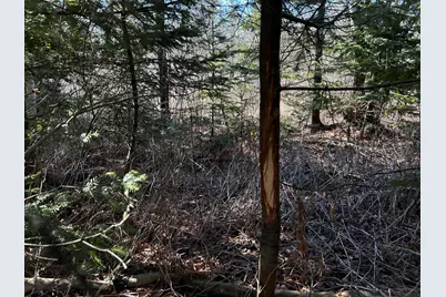 365 Cushing Road, Cushing, ME 04563 - Photo 8