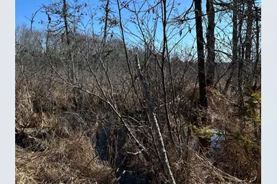 365 Cushing Road, Cushing, ME 04563 - Photo 30