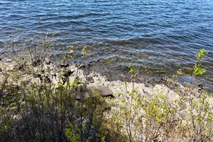 65 Ramisland Rd, Bowerbank, ME 04426 - Photo 20