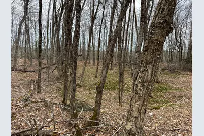 242 Bottle Lake Road, Springfield, ME 04487 - Photo 42