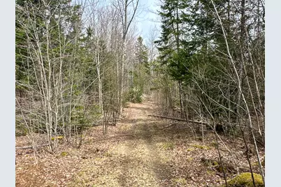 242 Bottle Lake Road, Springfield, ME 04487 - Photo 46