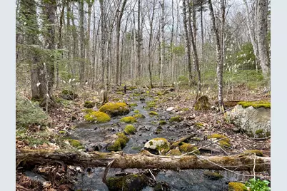 242 Bottle Lake Road, Springfield, ME 04487 - Photo 40