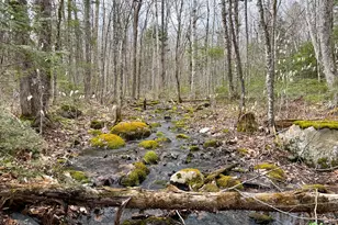 242 Bottle Lake Rd, Springfield, ME 04487 - Photo 40