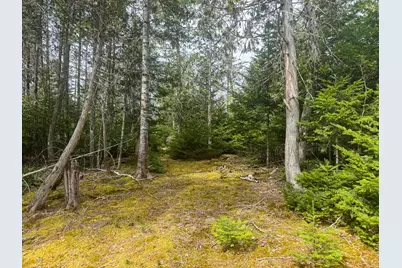 242 Bottle Lake Road, Springfield, ME 04487 - Photo 36