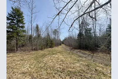 242 Bottle Lake Road, Springfield, ME 04487 - Photo 34