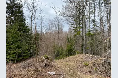 242 Bottle Lake Road, Springfield, ME 04487 - Photo 38