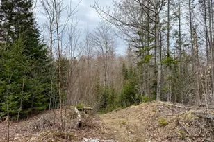 242 Bottle Lake Rd, Springfield, ME 04487 - Photo 38