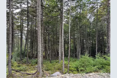 P/O M6L2 Fern Ridge Road, Enfield, ME 04493 - Photo 16