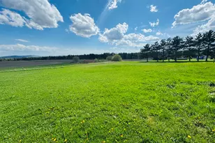 383 Caribou Lake Rd, Washburn, ME 04786 - Photo 12