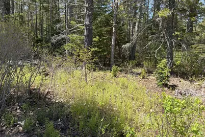 Lot 116010 Martin Point Road, Friendship, ME 04547 - Photo 4