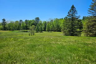 39 Applebee Hill Rd, Guilford, ME 04443 - Photo 48