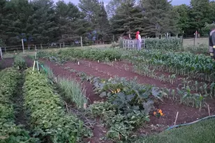 39 Applebee Hill Rd, Guilford, ME 04443 - Photo 36