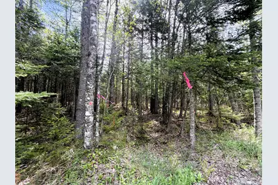 59 High Head Road, East Machias, ME 04630 - Photo 4