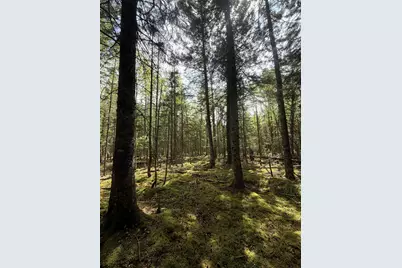 59 High Head Road, East Machias, ME 04630 - Photo 10