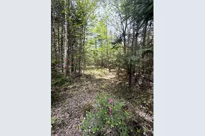 59 High Head Road, East Machias, ME 04630 - Photo 8
