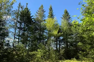 1175 US-1, Robbinston, ME 04671 - Photo 140
