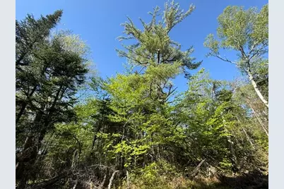 1175 Us-1, Robbinston, ME 04671 - Photo 142