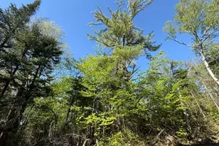 1175 US-1, Robbinston, ME 04671 - Photo 142