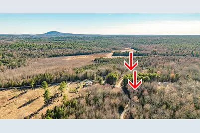 9 Ryan Lane, Surry, ME 04684 - Photo 8