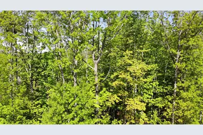 250 Drews Mills Road, Biddeford, ME 04046 - Photo 28