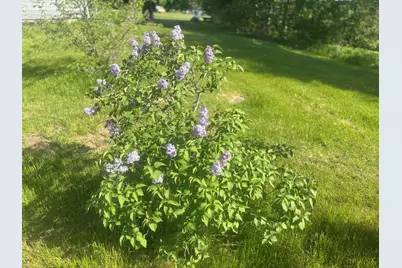 8 Lester Lane, Burnham, ME 04988 - Photo 16