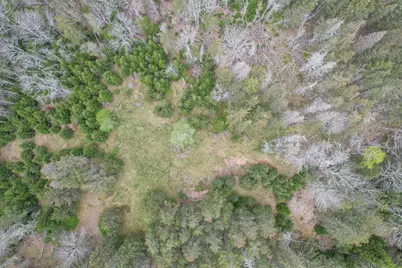 Lot # 72 Oceanville Road, Stonington, ME 04681 - Photo 40