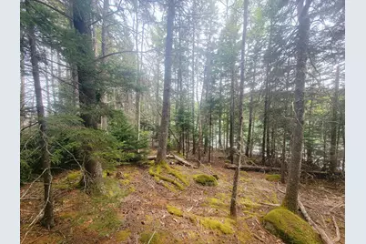Lot # 72 Oceanville Road, Stonington, ME 04681 - Photo 26