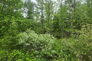 M5-L25-13 Union St, Levant, ME 04456 - Photo 1