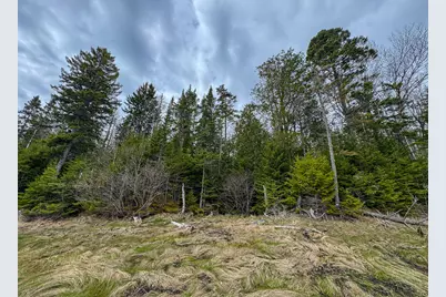Lot 46 Yoho Head Road, Machiasport, ME 04655 - Photo 18
