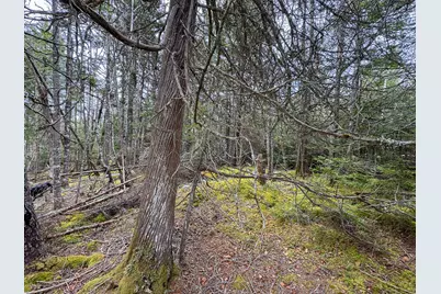 Lot 46 Yoho Head Road, Machiasport, ME 04655 - Photo 16