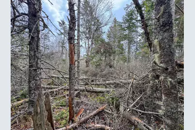 Lot 46 Yoho Head Road, Machiasport, ME 04655 - Photo 14