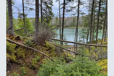 Lot 46 Yoho Head Road, Machiasport, ME 04655 - Photo 8