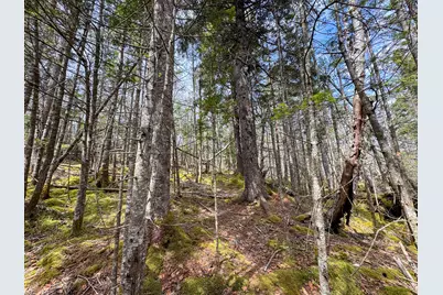 Lot 46 Yoho Head Road, Machiasport, ME 04655 - Photo 22