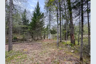 M5L59 Off Monument Road, Abbot, ME 04406 - Photo 10