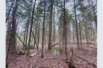 M5L59 Off Monument Road, Abbot, ME 04406 - Photo 12