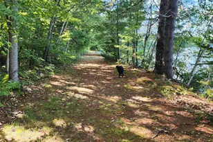 286 Staples Hill Rd, Canton, ME 04221 - Photo 14