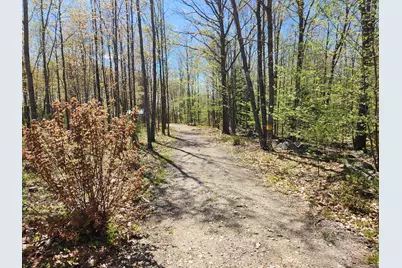 286 Staples Hill Road, Canton, ME 04221 - Photo 52