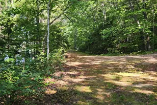 286 Staples Hill Rd, Canton, ME 04221 - Photo 44