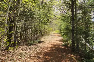 286 Staples Hill Rd, Canton, ME 04221 - Photo 62