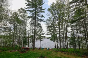 1359 Main Rd, Eddington, ME 04428 - Photo 104