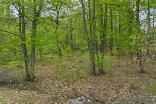 1304 Cape Rd, Hollis, ME 04042 - Photo 58