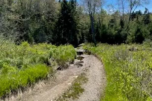44 Holmes Ln, Cushing, ME 04563 - Photo 100