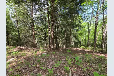0 Morrison Road, Bucksport, ME 04416 - Photo 12