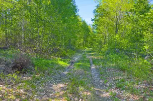 154 Allen Rd, Denmark, ME 04022 - Photo 16