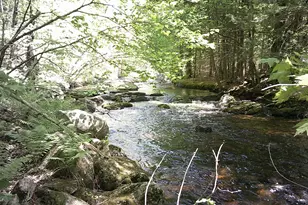 79 Buckfield Rd, Paris, ME 04281 - Photo 80