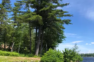 16 Millers Way, Bridgton, ME 04009 - Photo 28