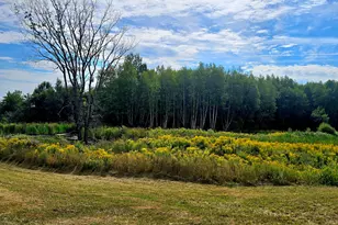 96 W Ridge Rd, Littleton, ME 04730 - Photo 44