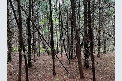Lot 6 Emery Farm Road, Medford, ME 04463 - Photo 18