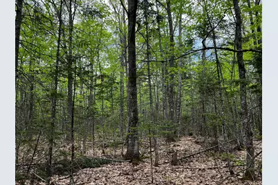 Lot 6 Emery Farm Road, Medford, ME 04463 - Photo 20